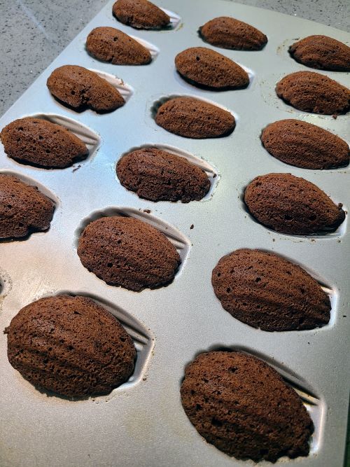 chocolate madeleines after baking