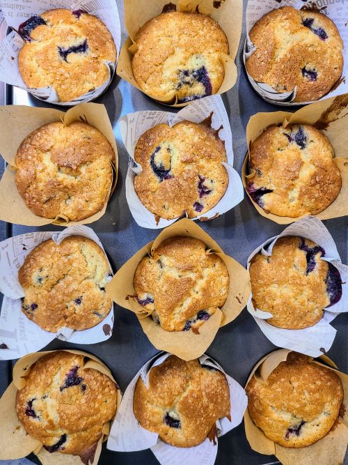 Baked Blueberry muffins