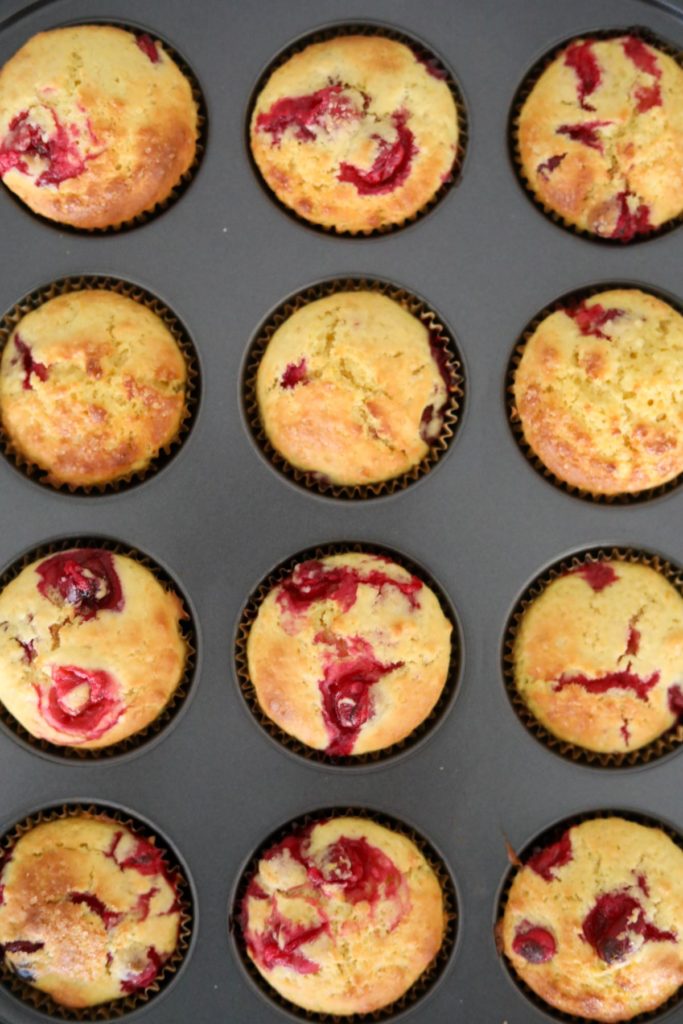 baked cranberry orange muffins still in the pan