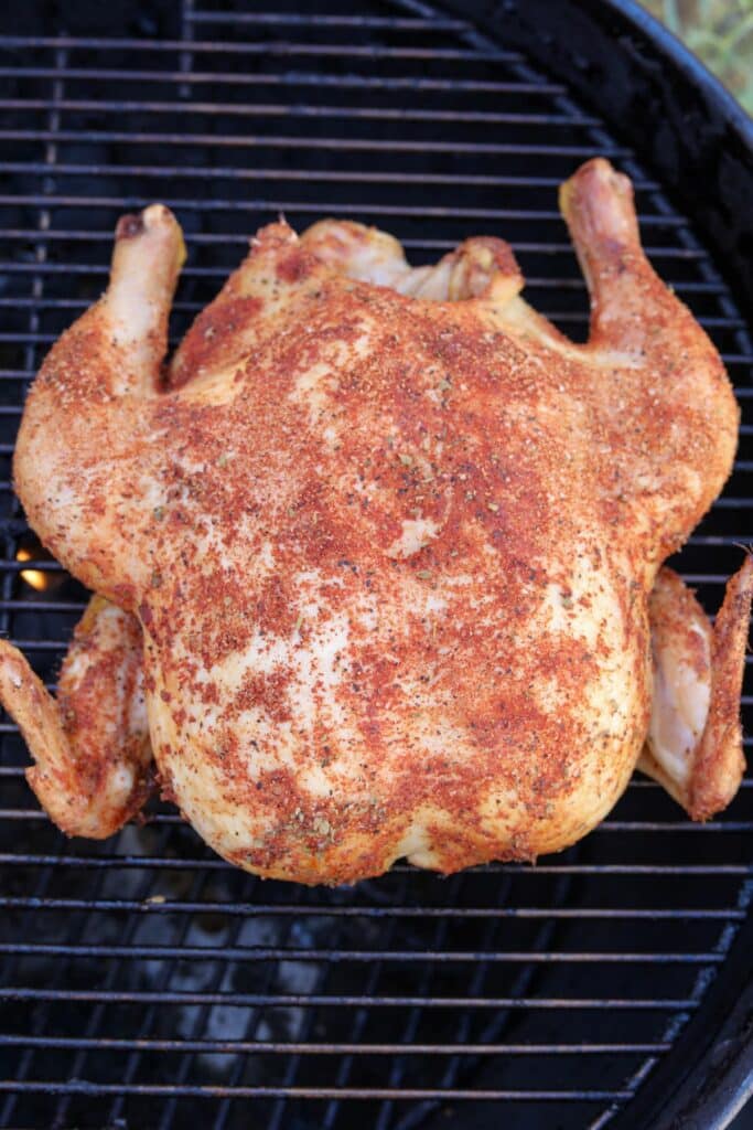 Seasoned chicken on the grill