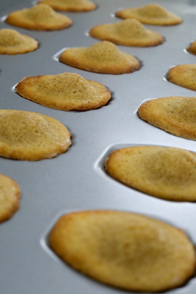 Close up of baked madeleines in a pan with humps